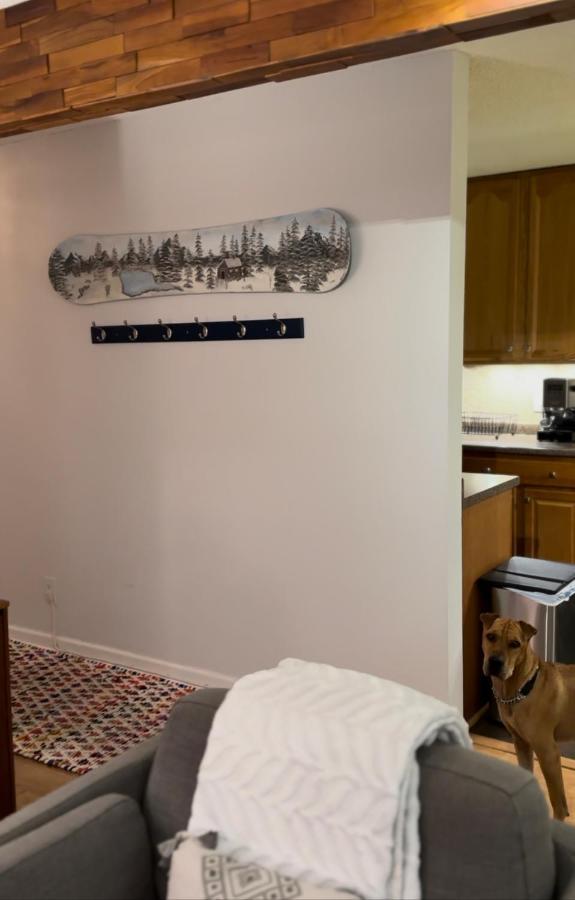 Beaver Creek 2 Bed 2 Bath Condo 1 Min Walk To Elk Lot Avon Eksteriør billede